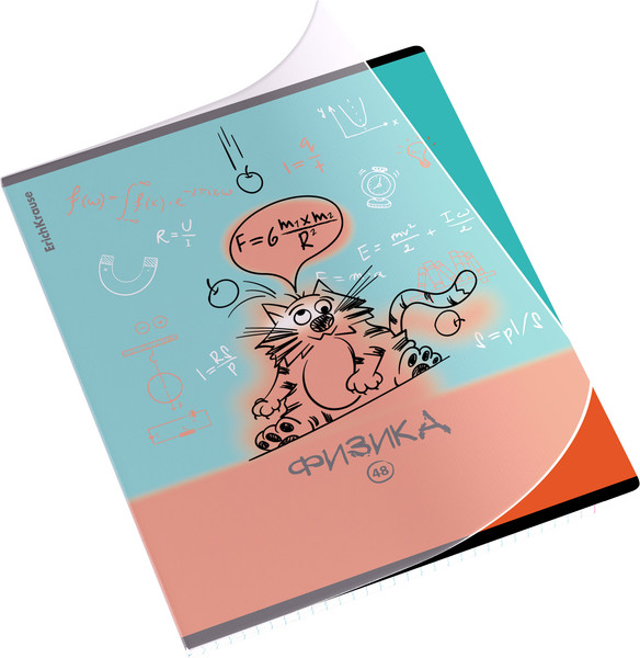 Изображение товара Тетрадь предметная Erich Krause Котоформулы. Физика / 59508 (48л)