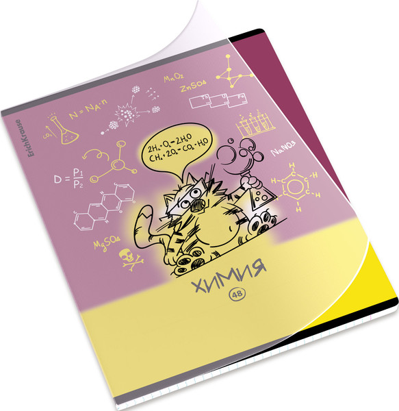 Изображение товара Тетрадь предметная Erich Krause Котоформулы. Химия / 59509 (48л)