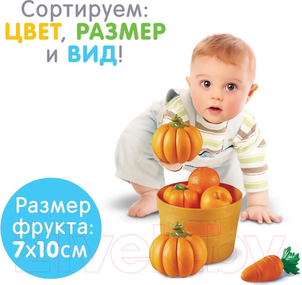 Изображение товара Сортер Zabiaka Разноцветный урожай / 4415058
