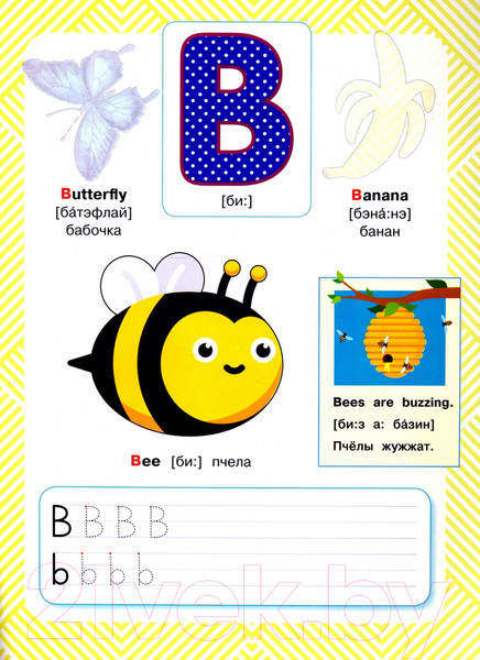 Изображение товара Учебник АСТ Английский язык. Букварь в картинках