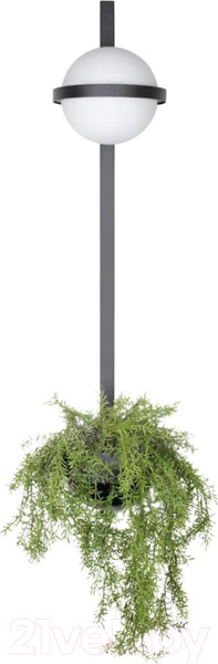 Изображение товара Бра Loftit Jardin 10121W/B