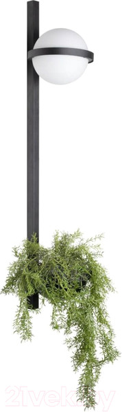 Изображение товара Бра Loftit Jardin 10121W/B