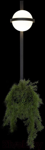 Изображение товара Бра Loftit Jardin 10121W/B