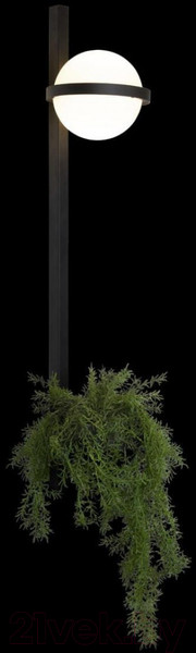 Изображение товара Бра Loftit Jardin 10121W/B