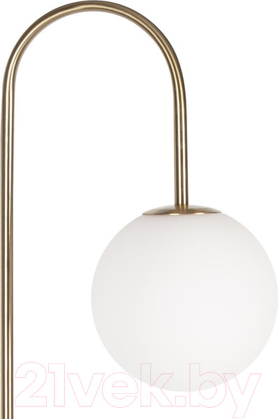 Изображение товара Торшер Loftit Sonni 10145 (черный)