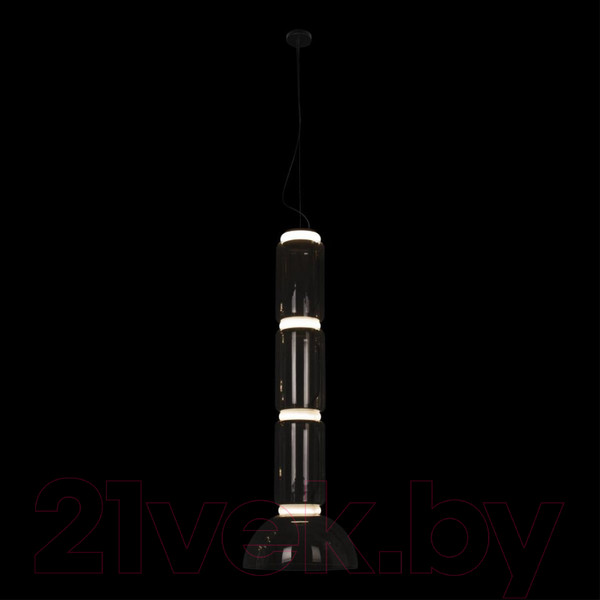 Изображение товара Потолочный светильник Loftit Noctambule 10192/L