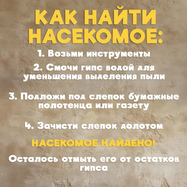 Изображение товара Набор для опытов Школа талантов Тайна жука Скарабея / 4064778