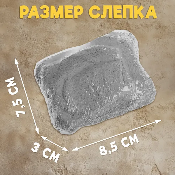 Изображение товара Набор для опытов Школа талантов Тайна жука Скарабея / 4064778