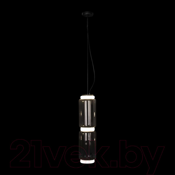 Изображение товара Потолочный светильник Loftit Noctambule 10194/M