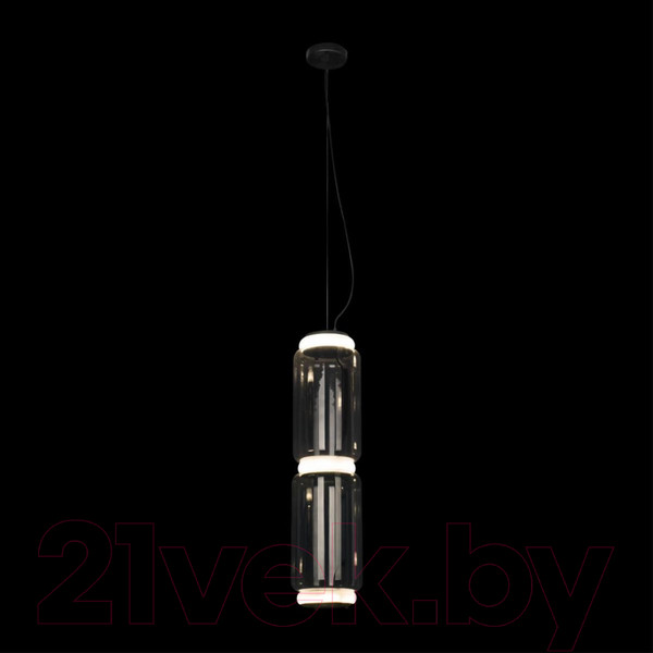 Изображение товара Потолочный светильник Loftit Noctambule 10194/M