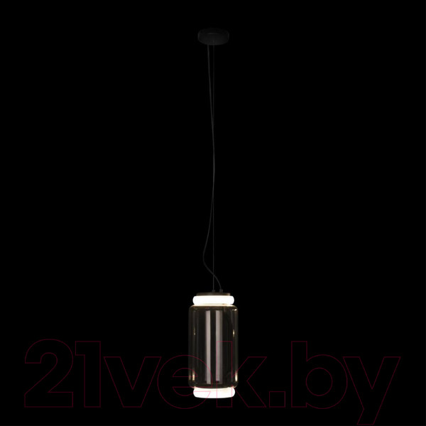 Изображение товара Потолочный светильник Loftit Noctambule 10194/S