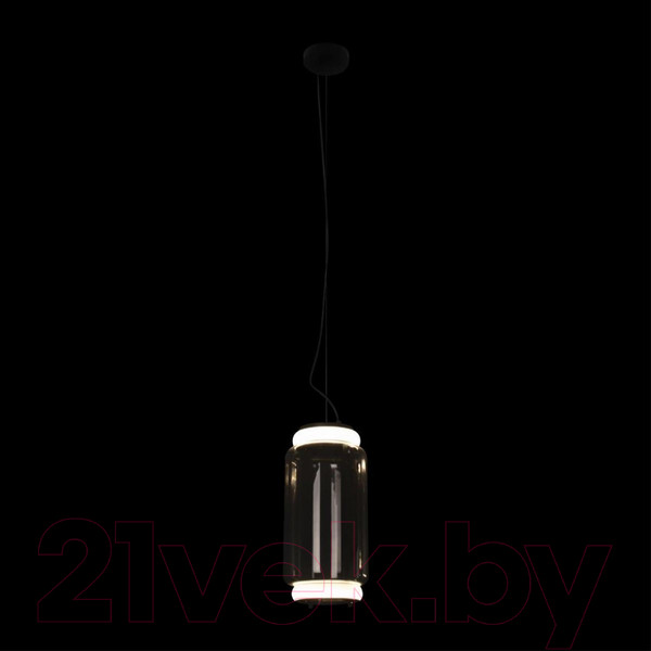 Изображение товара Потолочный светильник Loftit Noctambule 10194/S