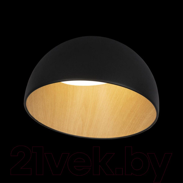 Изображение товара Потолочный светильник Loftit Egg 10197/350 (черный)