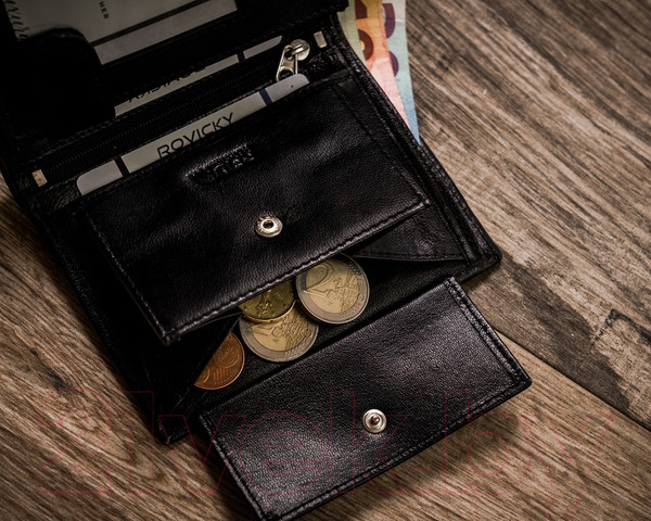 Изображение товара Портмоне Cedar Rovicky R-RM-10-GCL (черный)