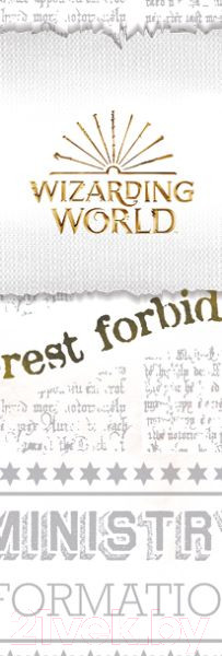 Изображение товара Набор блокнотов Эксмо Слизерин. Для амбициозных и находчивых / 9785041767099 (3шт)