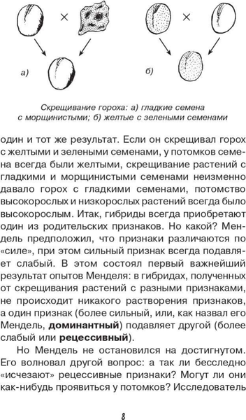 Изображение товара Энциклопедия АСТ Загадки генетики, твердая обложка (Шитиков Дмитрий)