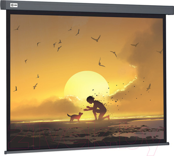 Изображение товара Проекционный экран Cactus CS-PSW-124X221-SG