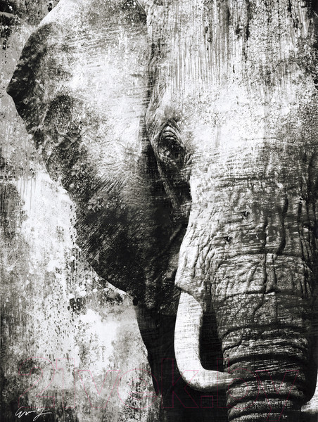 Изображение товара Картина Декарт Слон 8Л0586 (в раме)