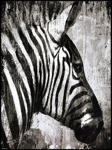 Изображение товара Картина Декарт Зебра 8Л0585 (в раме)