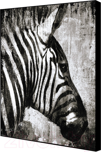 Изображение товара Картина Декарт Зебра 8Л0585 (в раме)