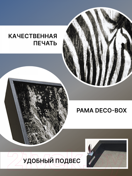 Изображение товара Картина Декарт Зебра 8Л0585 (в раме)