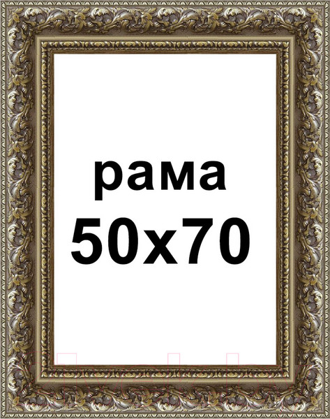 Изображение товара Рамка Декарт 50x70 8Л3602 (серебристый)