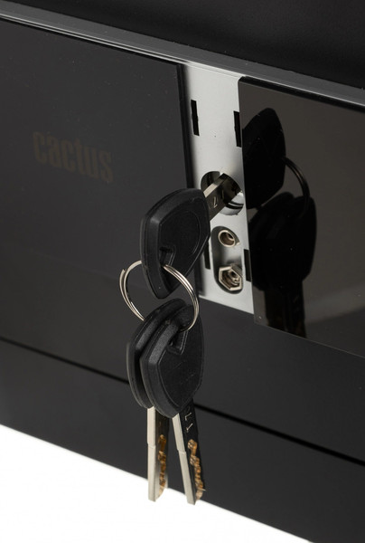 Изображение товара Мебельный сейф Cactus CS-SF-T25