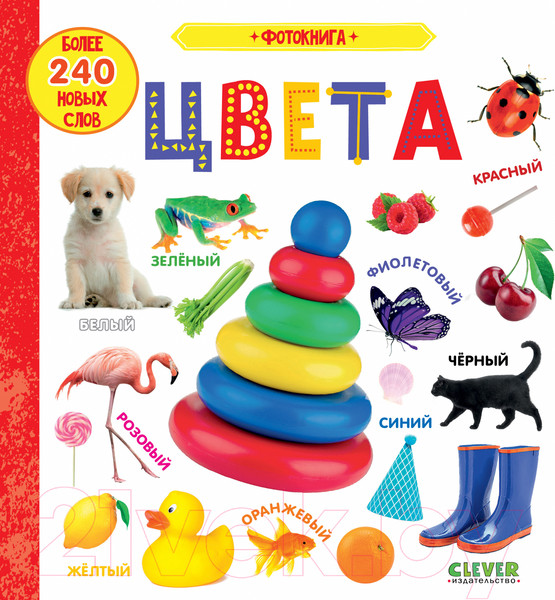 Изображение товара Развивающая книга CLEVER Первые знания. Фотокнига. Цвета (2023)