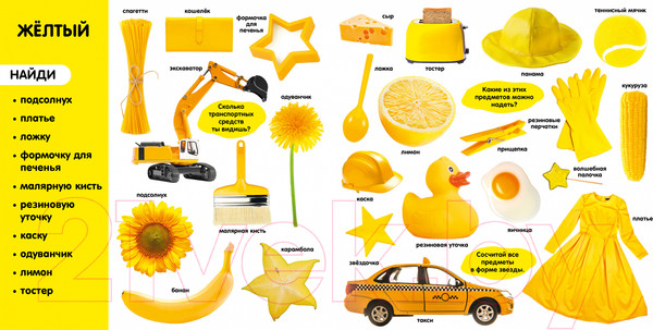 Изображение товара Развивающая книга CLEVER Первые знания. Фотокнига. Цвета (2023)