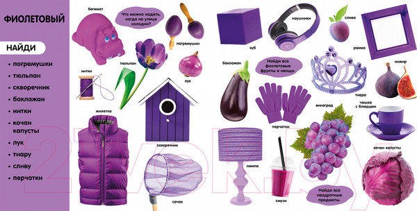 Изображение товара Развивающая книга CLEVER Первые знания. Фотокнига. Цвета (2023)