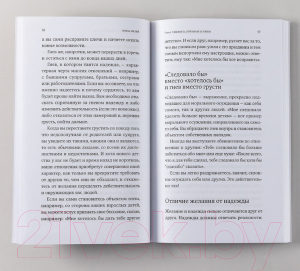 Изображение товара Книга Альпина Компас эмоций: Как разобраться в своих чувствах (Санд Илсе)