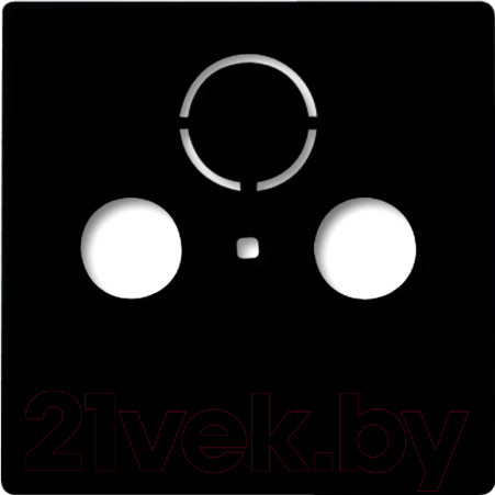 Изображение товара Лицевая панель ABB Basic 55 1724-0-4314 (шато-черный)