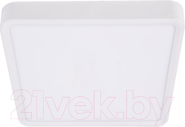 Изображение товара Потолочный светильник Ultra NP S 24W 4000K (РР)