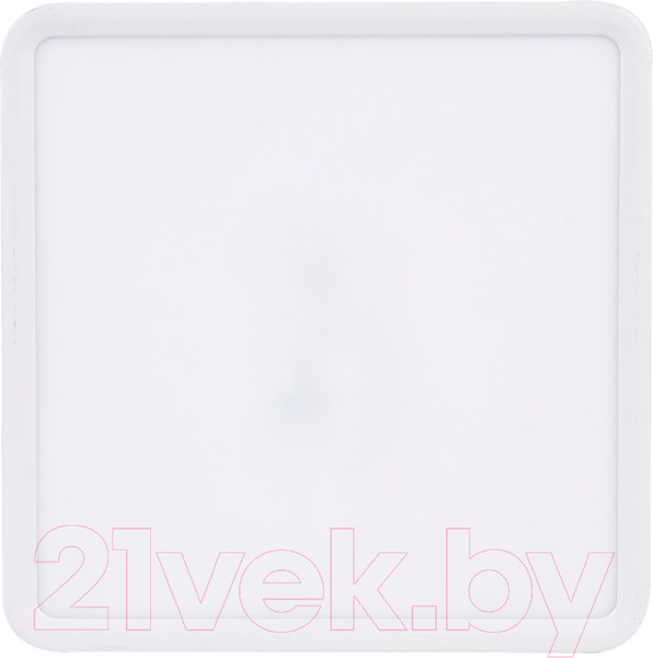 Изображение товара Потолочный светильник Ultra NP S 30W 3000K (РР)