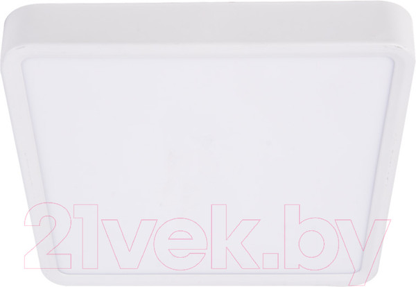 Изображение товара Потолочный светильник Ultra NP S 30W 3000K (РР)