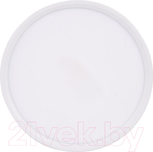 Изображение товара Потолочный светильник Ultra NP 24W 3000K (РР)