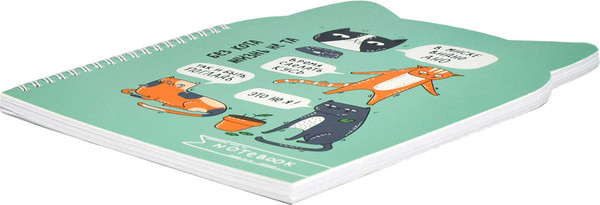 Изображение товара Записная книжка Феникс+ Кошачьи шалости / 62750