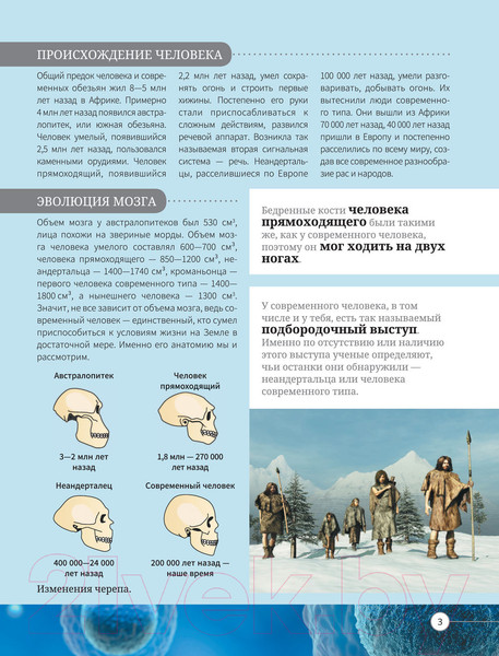 Изображение товара Энциклопедия АСТ Все о теле человека