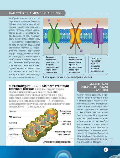 Изображение товара Энциклопедия АСТ Все о теле человека