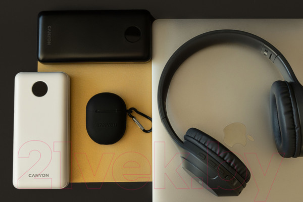 Изображение товара Портативное зарядное устройство Canyon PB-2002 / CNE-CPB2002W (белый)