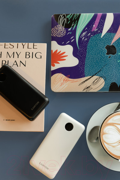 Изображение товара Портативное зарядное устройство Canyon PB-2002 / CNE-CPB2002W (белый)