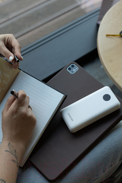 Изображение товара Портативное зарядное устройство Canyon PB-2002 / CNE-CPB2002W (белый)