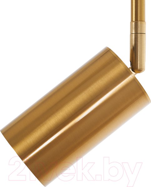 Изображение товара Потолочный светильник MyFar Dereck MR1020-1P