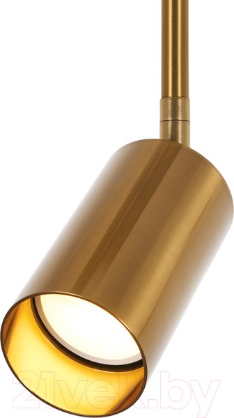 Изображение товара Потолочный светильник MyFar Dereck MR1020-1P