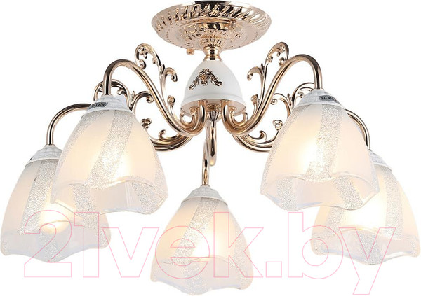 Изображение товара Люстра MyFar Nicole MR1661-5C