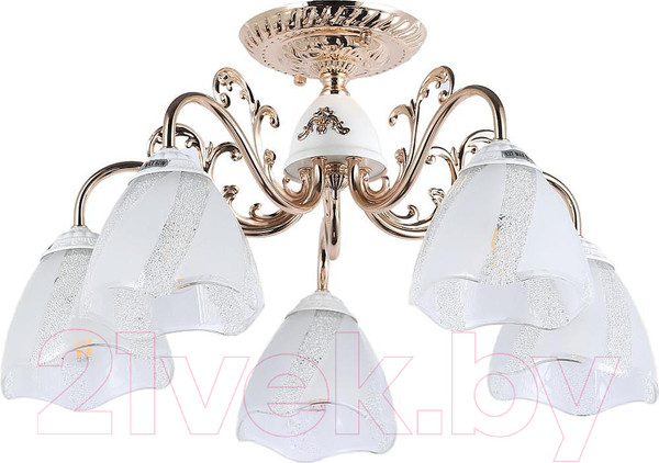 Изображение товара Люстра MyFar Nicole MR1661-5C
