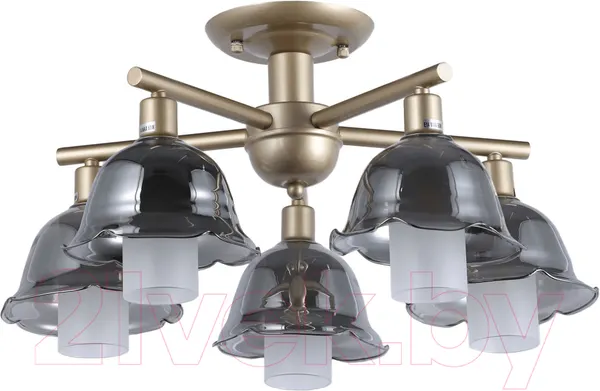 Изображение товара Люстра MyFar Lisa MR1481-5C