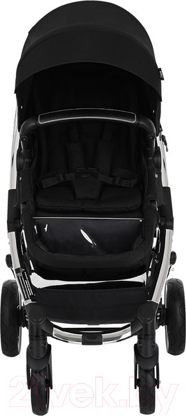 Изображение товара Детская универсальная коляска Pituso Mikki G16 (черный)