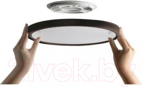 Изображение товара Потолочный светильник Ultra NR 30W CCT Black