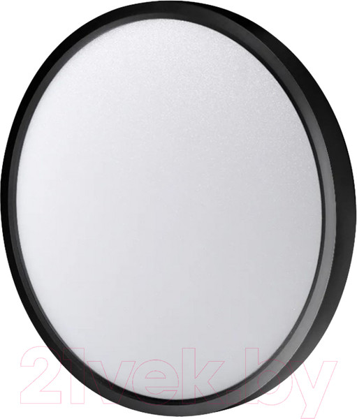 Изображение товара Потолочный светильник Ultra NR 30W CCT Black